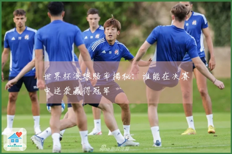 世界杯滚球赔率揭秘：谁能在决赛中逆袭赢得冠军