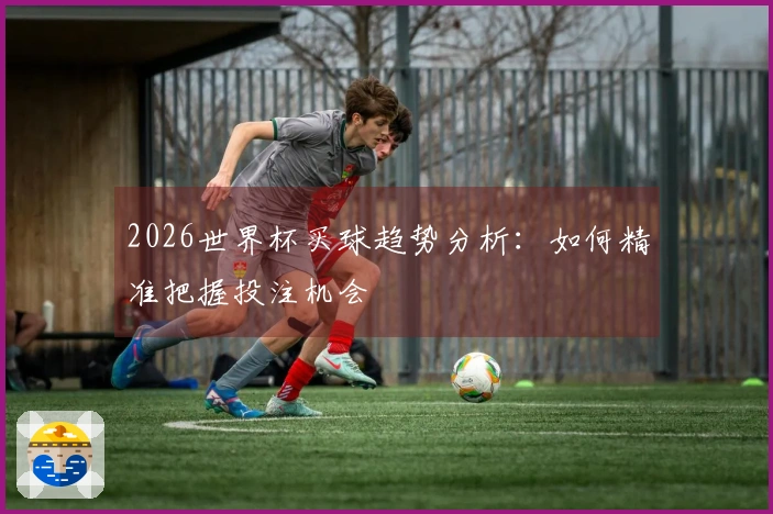 2026世界杯买球趋势分析：如何精准把握投注机会