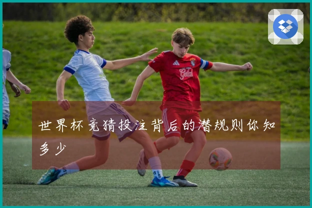 世界杯竞猜投注背后的潜规则你知多少