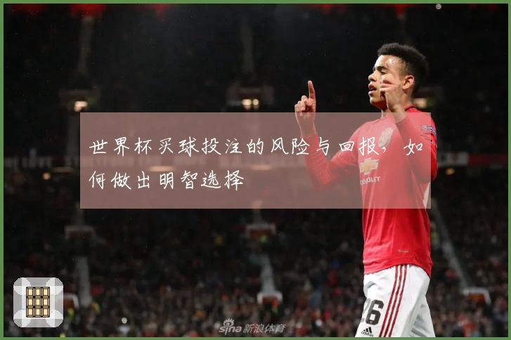 世界杯买球投注的风险与回报，如何做出明智选择
