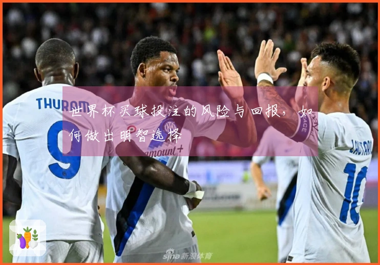 世界杯买球投注的风险与回报，如何做出明智选择