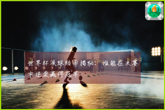 世界杯滚球赔率揭秘：谁能在决赛中逆袭赢得冠军