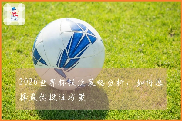 2026世界杯投注策略分析，如何选择最优投注方案