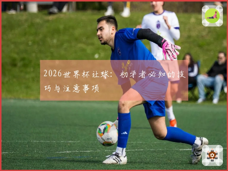 2026世界杯让球：初学者必知的技巧与注意事项