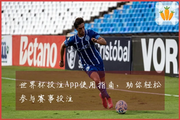 世界杯投注App使用指南，助你轻松参与赛事投注