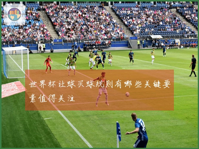 世界杯让球买球规则有哪些关键要素值得关注