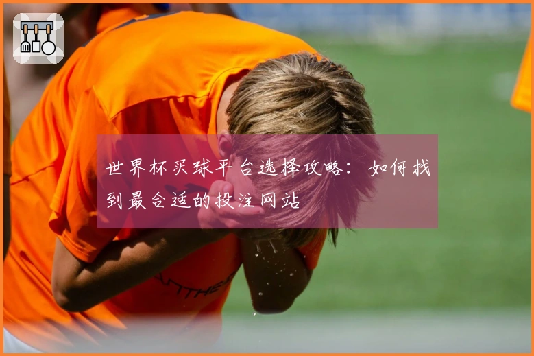 世界杯买球平台选择攻略：如何找到最合适的投注网站