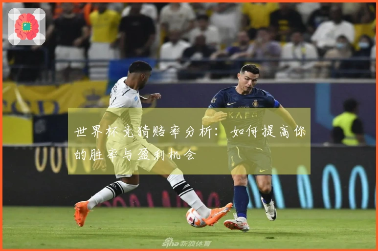 世界杯竞猜赔率分析：如何提高你的胜率与盈利机会