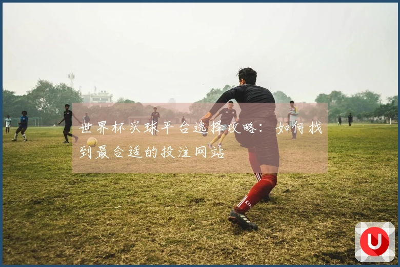 世界杯买球平台选择攻略：如何找到最合适的投注网站