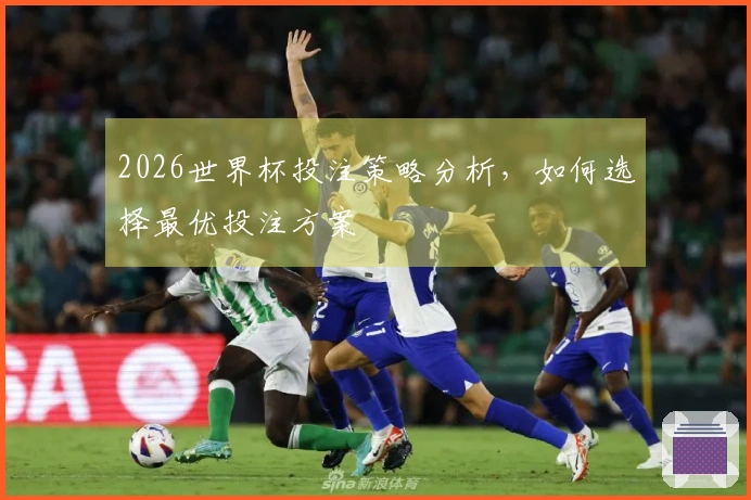 2026世界杯投注策略分析，如何选择最优投注方案