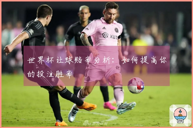 世界杯让球赔率分析：如何提高你的投注胜率